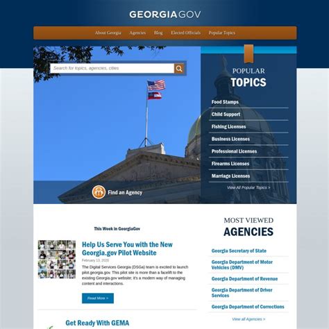 state of Georgia gov website